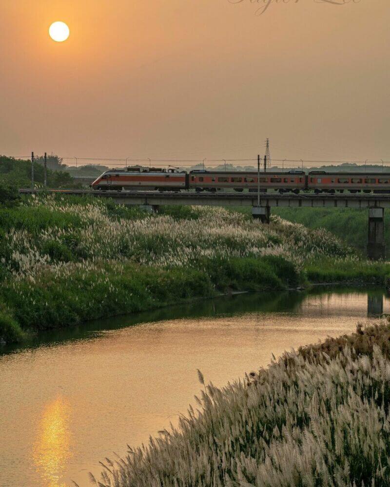 台南濕地懶人包｜八掌溪口重要濕地