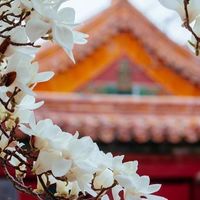 ⋆✴︎˚｡⋆ ศึกจอมนางชิงบัลลังก์ | โรลจีนโบราณราชวงศ์ชิง