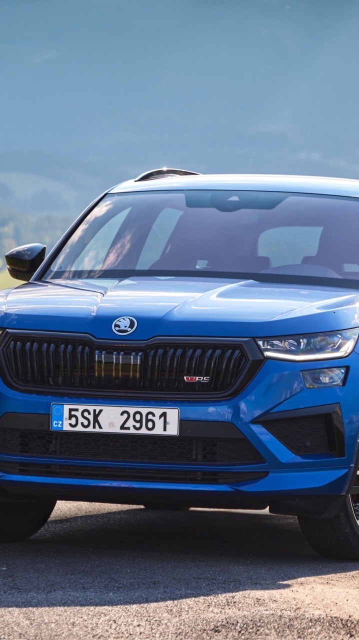 Kodiaq RS 大棕熊社群