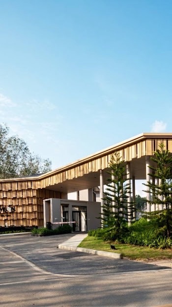 Oxygen [ต้นยาง]