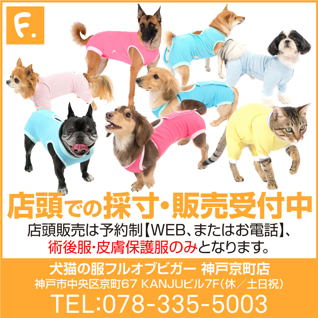 犬猫の服 Full Of Vigor Line Official Account