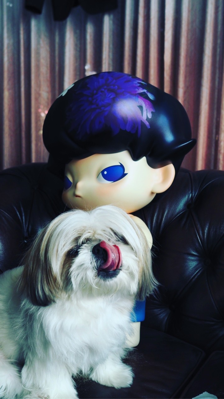 Action Art Toy Cafe