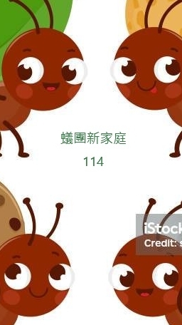 114學年度蟻團新生報到處
