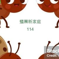 114學年度蟻團新生報到處
