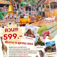 ayutthaya day trip 💥