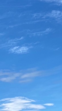 正義高中高203親師交流群組