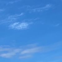 正義高中高203親師交流群組