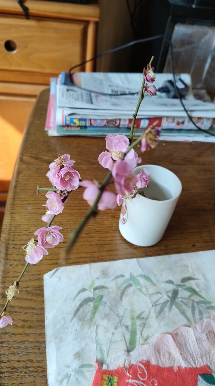 入院 や手術の体験談
