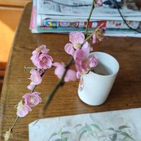 入院 や手術の体験談