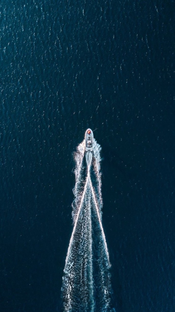 郭家魚