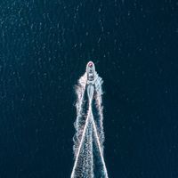 郭家魚