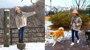 【旅日達人秘笈】日本東北這樣玩！「跟秋田犬一起散步！冬日限定的雪景夢幻溫泉～」跟著吳怡霈大推的景點去旅行！