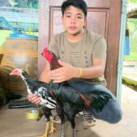 ซุ้ม รุ่งมณีฟาร์ม จ.ตราด