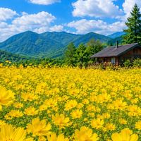 50代60代女性限定🌷暮らしのダイアリー