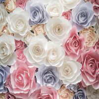 百花谷/只收女生
