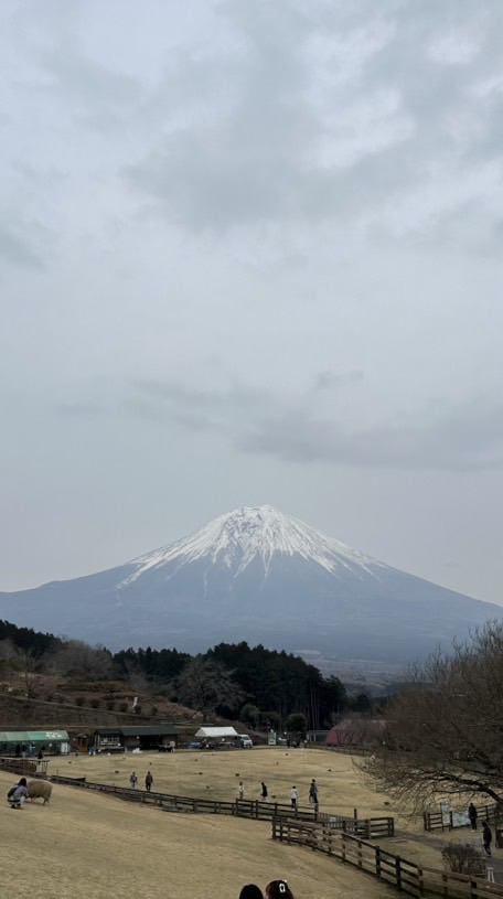 キングダム頂天チーム友達