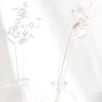 俐俐安的生活美物 ☁️
