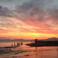 網走地方の鮭釣り情報🎣