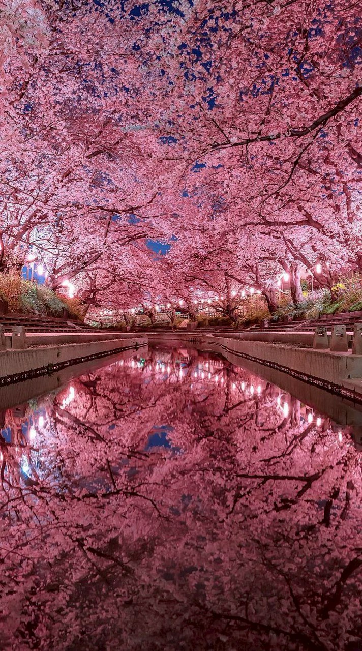 東北エリア支援部 (緊急安否確認用)