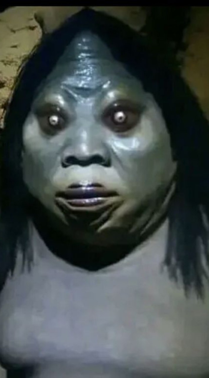 ชาดกโกหมอย