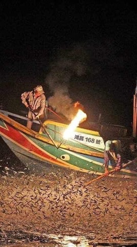 鴻昌168🛥️週邊魚貨商品
