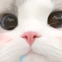 รักเพื่อนดีกว่ารักของ