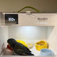 便攜式寵物恆溫箱