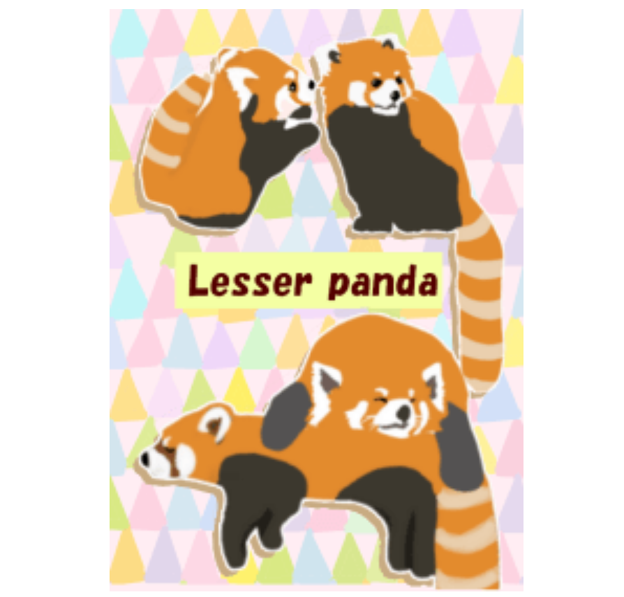 Cute zoo The Red pandas