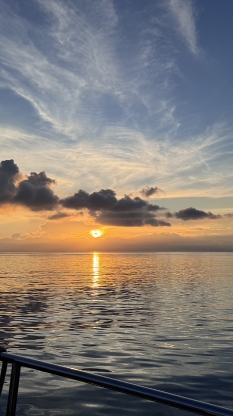 指數的流浪者