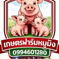 เกษตรฟาร์มหมูมัง