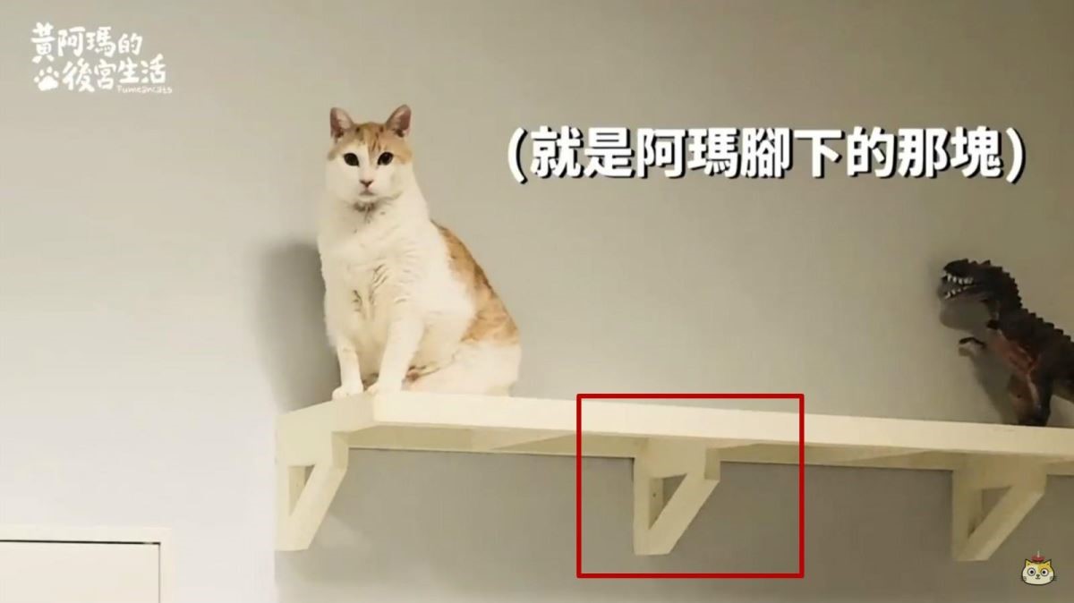 舊後宮的貓跳台，支撐及固定的位置在下方，在使用後發現，貓咪容易在下方行走時撞到頭，在新後宮時便有所改良。