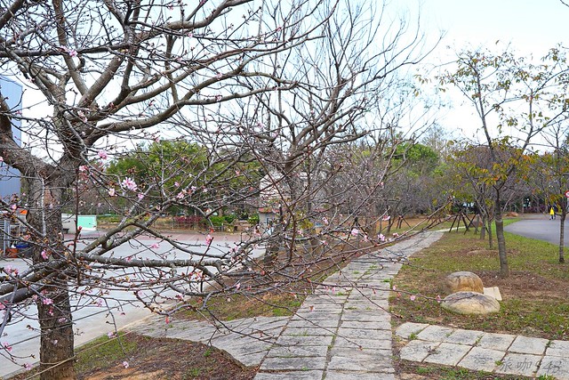 崴立機電櫻花公園