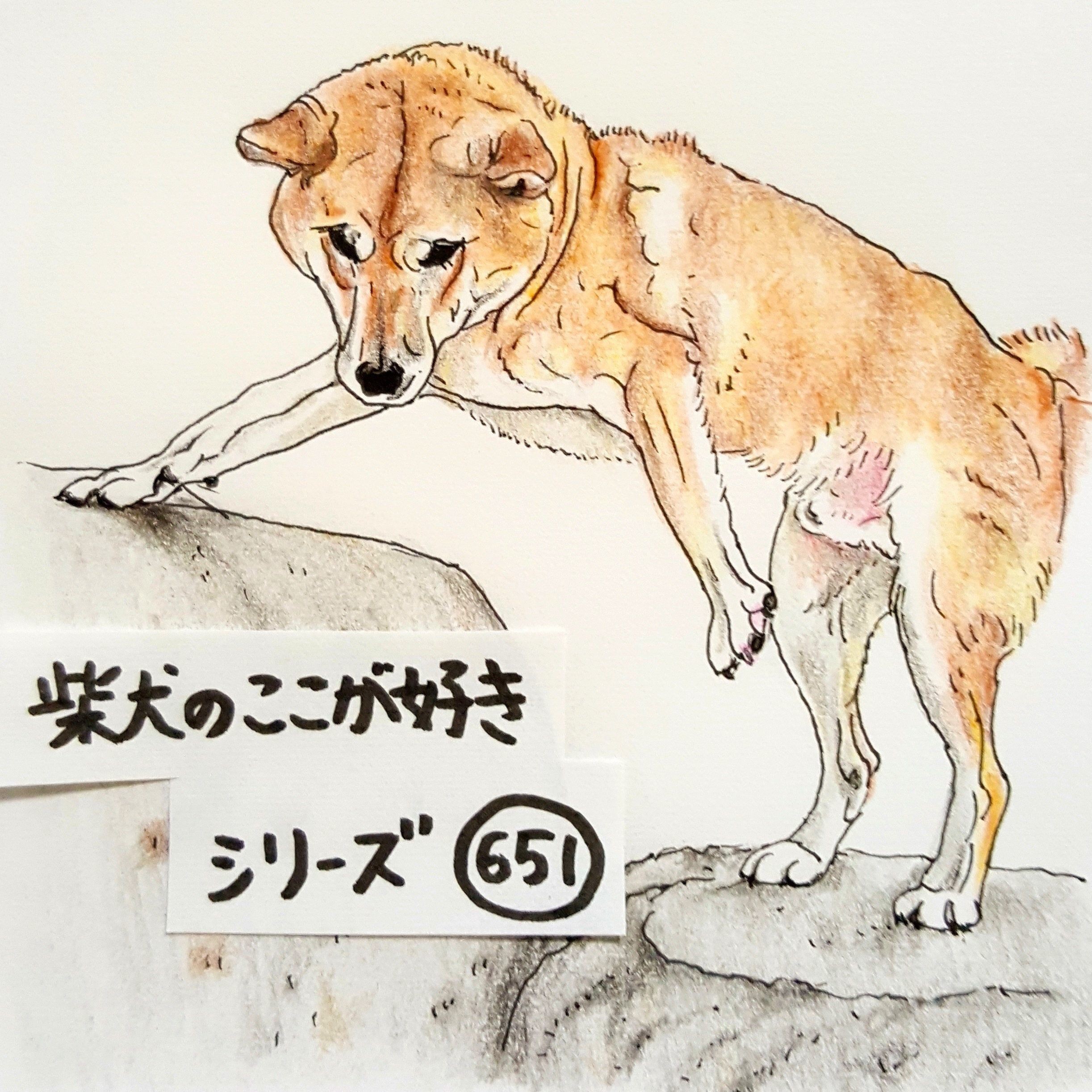 娘の遊びに対し とことん現実的な柴犬タロさん