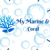 My Marine & Coral