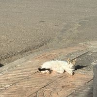 お風呂