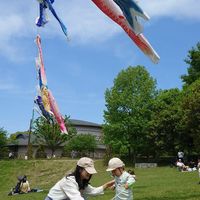 薬剤師ありさ　凡人でも伸びる仕組み　オプチャ