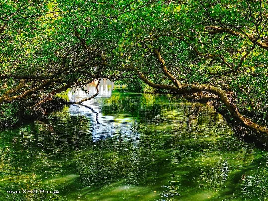 四草隧道 @badbabynick