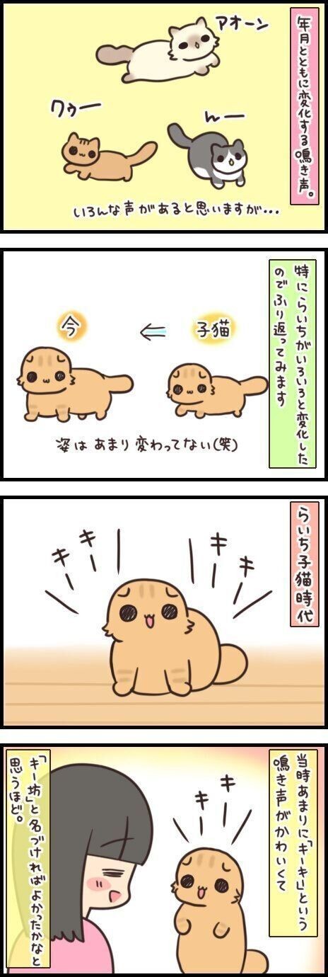 年月で変わる 猫のおもしろ鳴き声ビフォーアフター