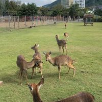 呵呵出遊去