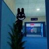 ロブロックス動物病院（animal hospital）オープンチャット🔰誰でも歓迎！副官募集中🎆