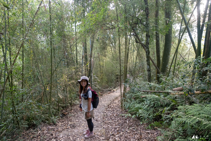 山女孩MelissaxMao冒險生活_水社大山_日月潭登山_路線分享-51.JPG