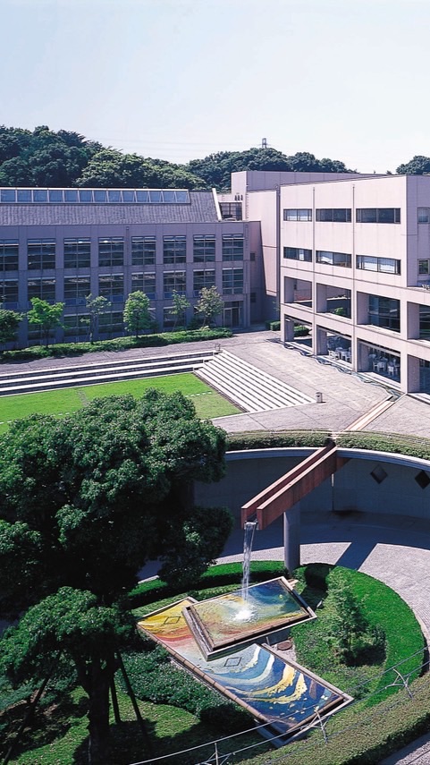 春から昭和薬科大学