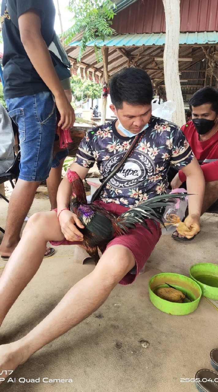 FC​ เพชรเกรียงไกร#3