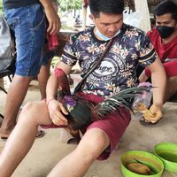 FC​ เพชรเกรียงไกร#3