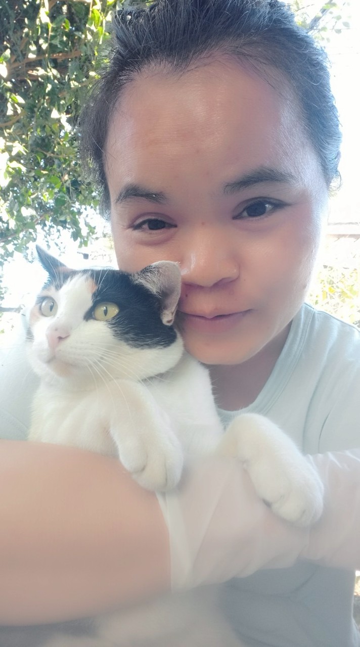 เก็บคลิป