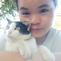 เก็บคลิป