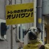 本家オリパワン(地域最大級)
