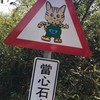 全台天氣路況臨檢⚠