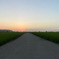 FX-trading-進階群112/12