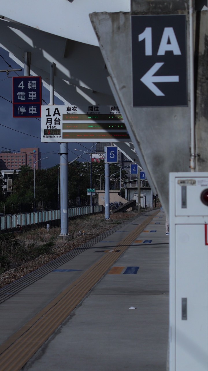 老鷹捉小雞